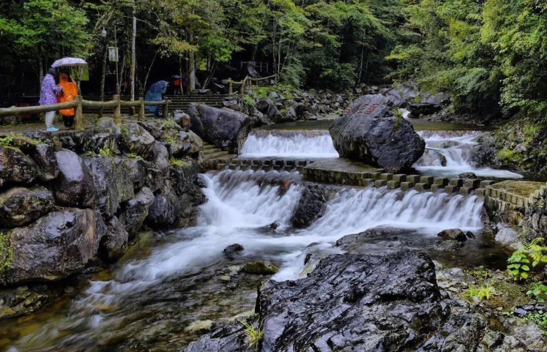 大山羔羊逃生