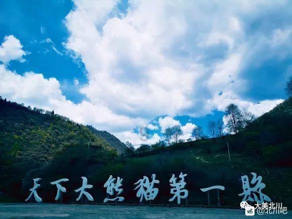 救援鹦鹉