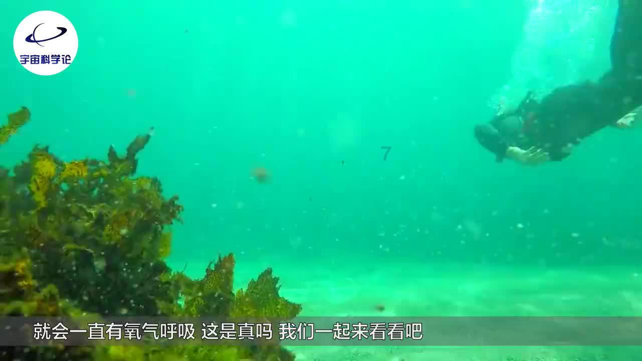 漂亮少女夏日秀