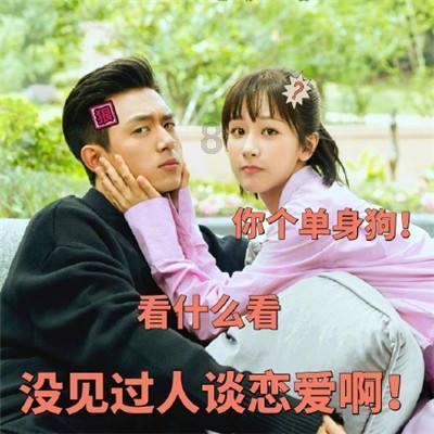 逃离金色蜜蜂森林