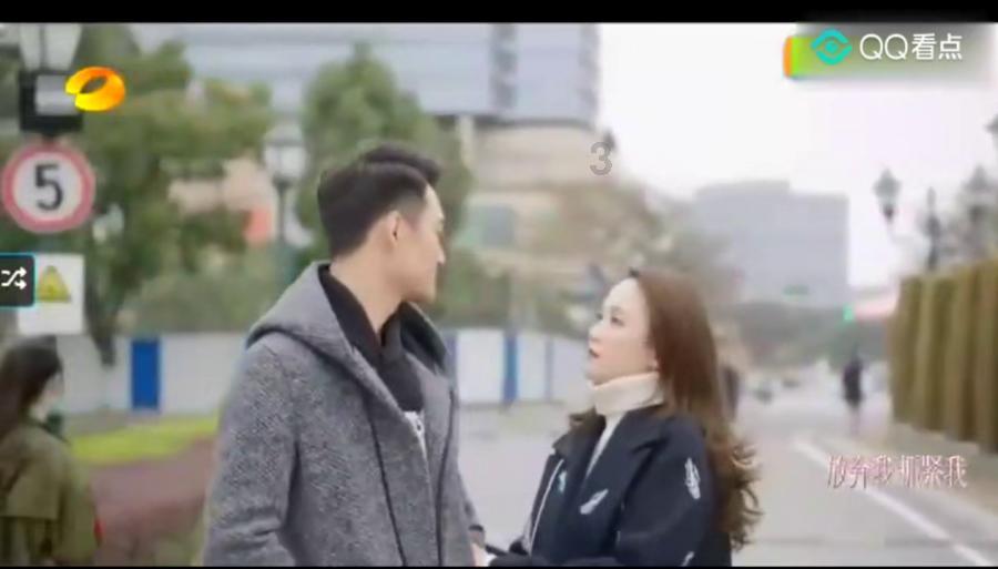 小长颈鹿逃离
