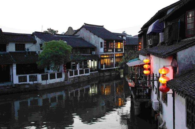 动物帮帮忙保卫家园